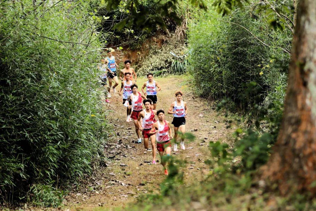 特色森林越野跑，拥抱自然的运动新体验