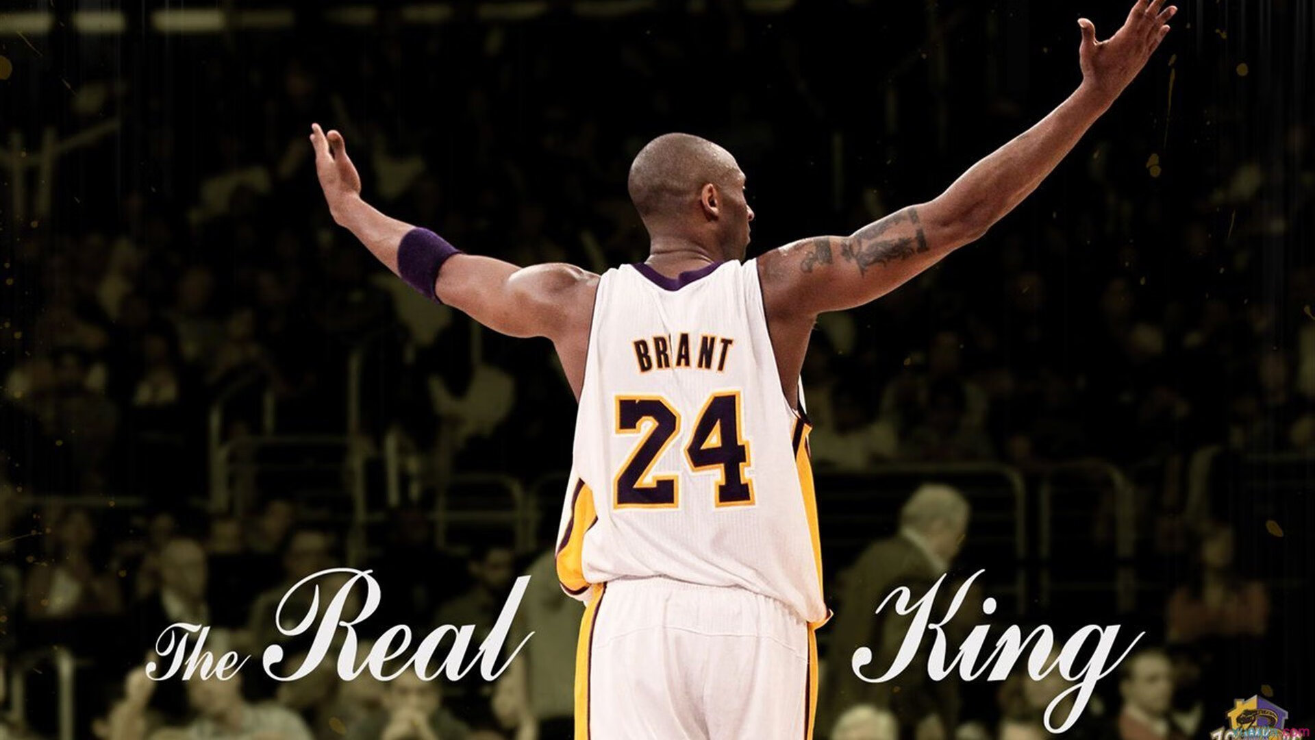 德甲主帅大换血，战术风格迎来新变革，德甲各队主帅